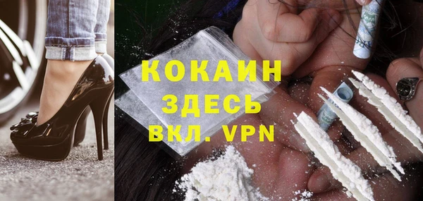 Альфа ПВП Инта